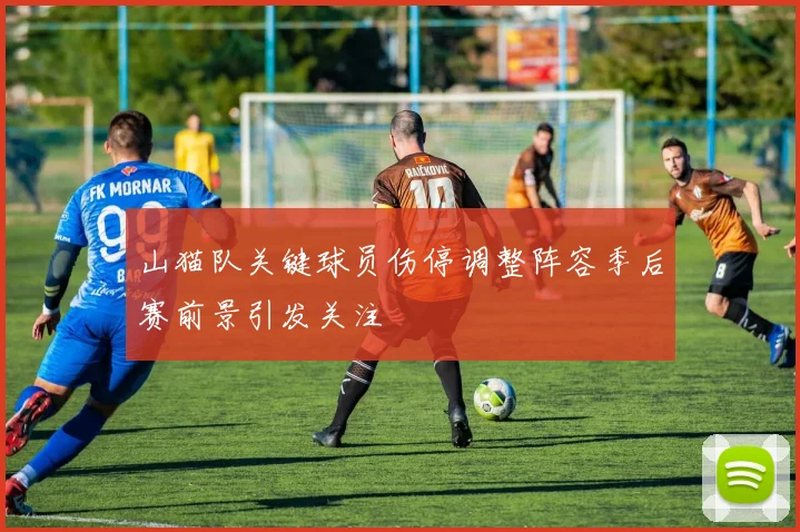 山猫队关键球员伤停调整阵容季后赛前景引发关注