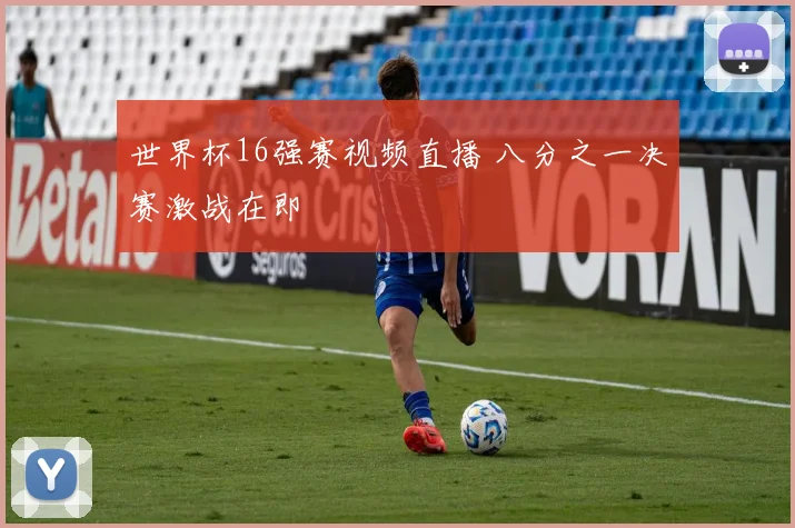 世界杯16强赛视频直播 八分之一决赛激战在即