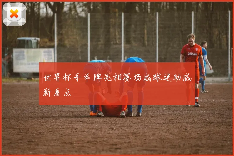 世界杯手举牌亮相赛场成球迷助威新看点