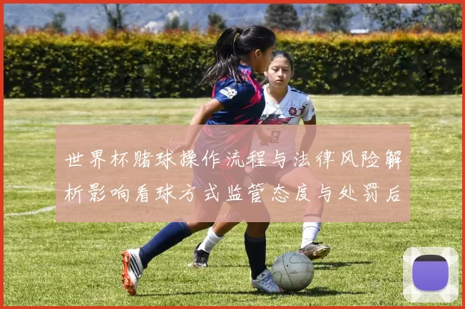 世界杯赌球操作流程与法律风险解析影响看球方式监管态度与处罚后果